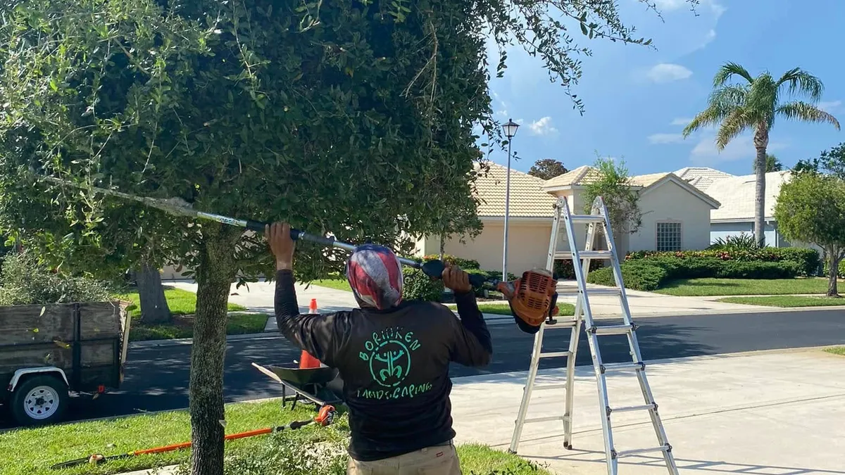 Crew member using a pole saw to trim a curbside tree canopy, branded trailer parked nearby