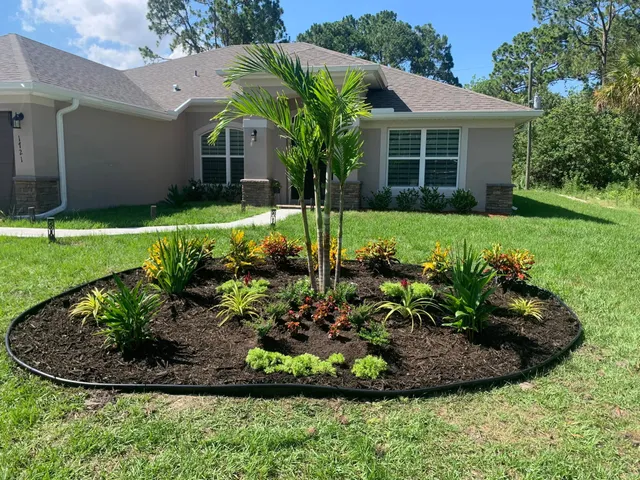 Finished landscape design: a large curved mulch island bed with a palm tree and colorful croton plantings in a front yard