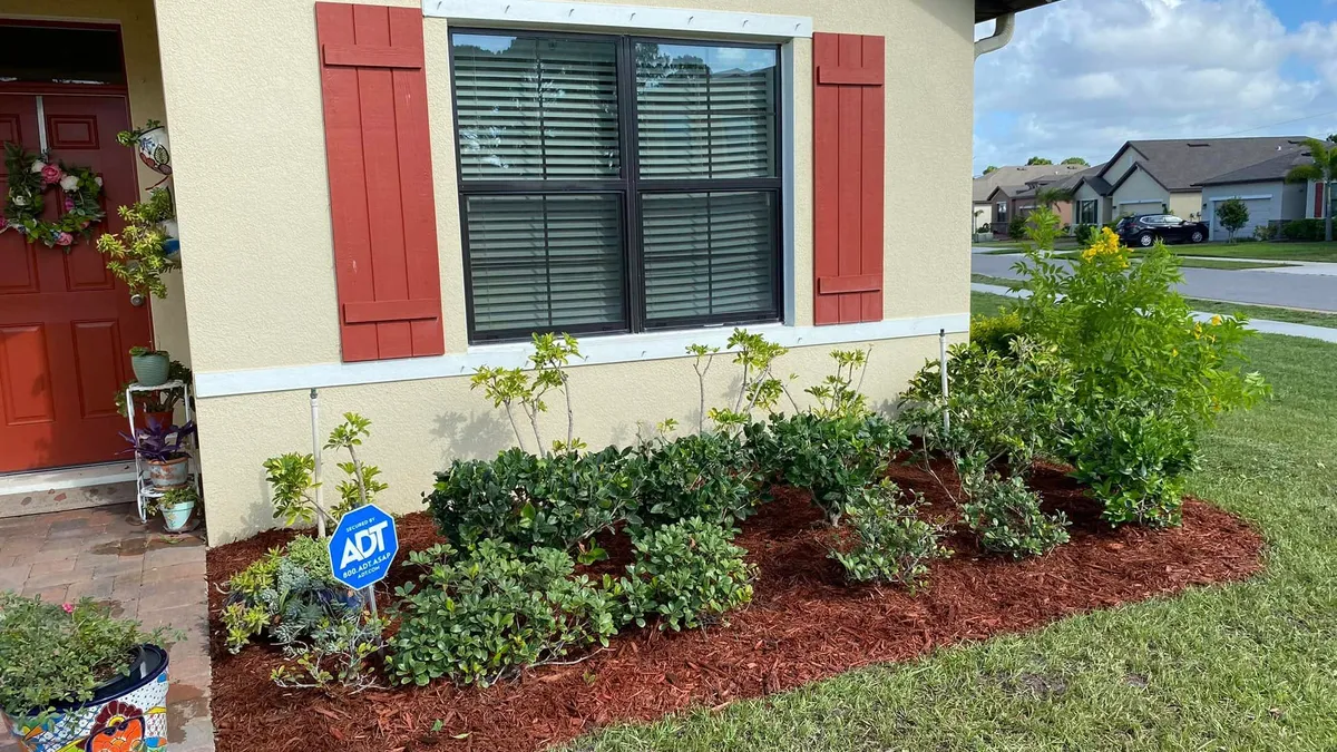 Fresh mulch bed with new foundation shrubs planted along a home’s front window