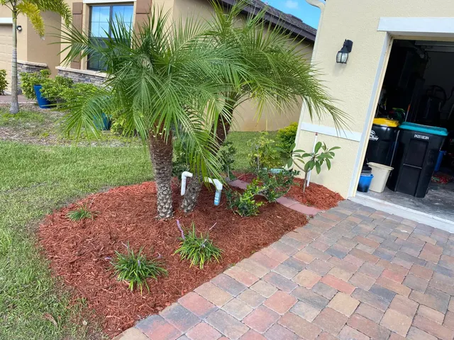 Fresh red mulch bed with young palm trees planted beside a garage entrance